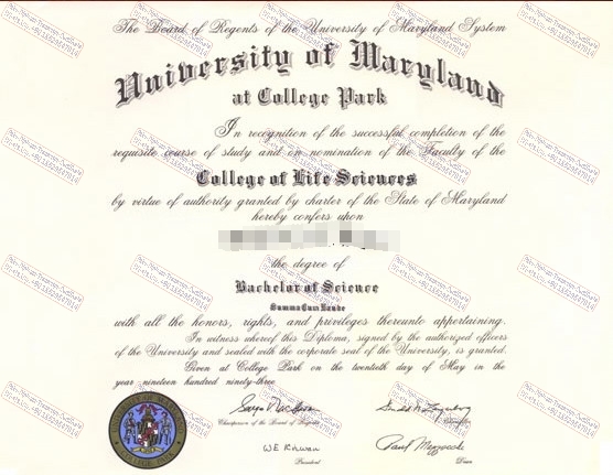 Purchase fake University of maryland college park Diploma