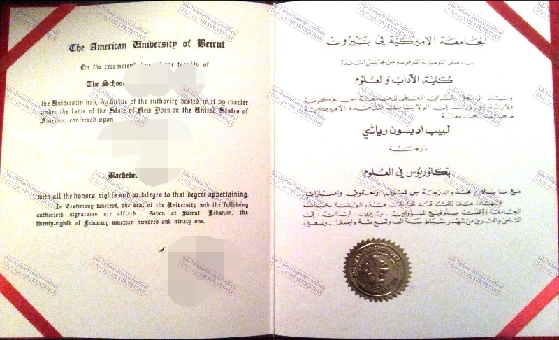 Purchase phony American University of Beirut Certificate