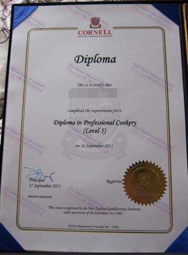 Purchase phony CornellInstitute of Business and Technology Diploma