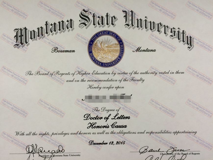 Purchase phony Montana State University Bozeman Degree