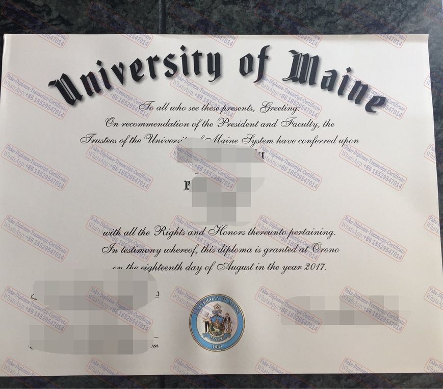 Purchase phony The University of Maine Certificate