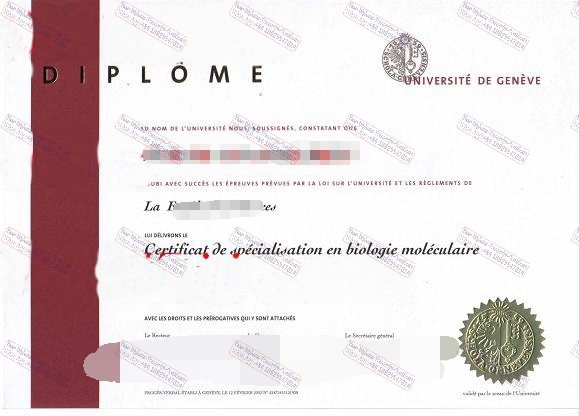 Purchase phony Université de Genève Diploma