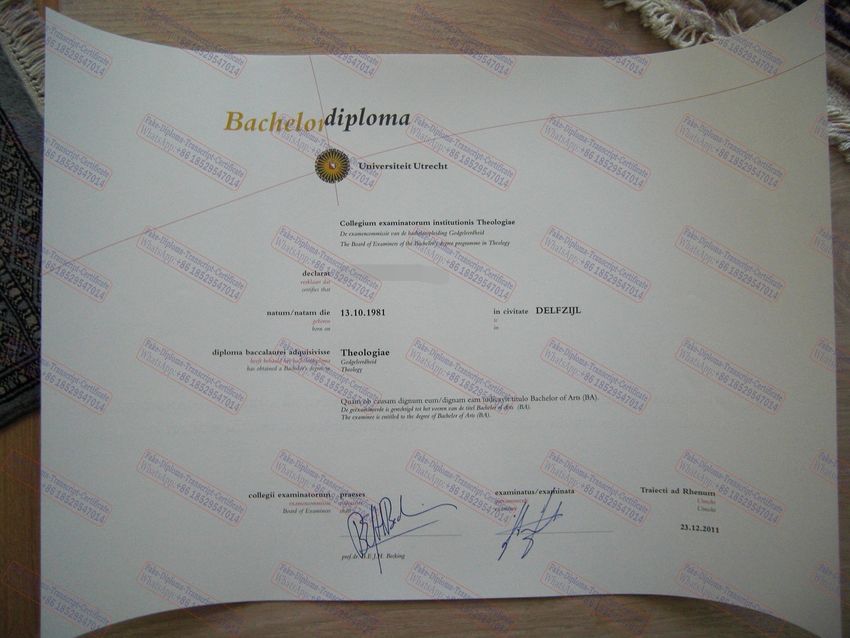 Purchase phony Utrecht University Degree